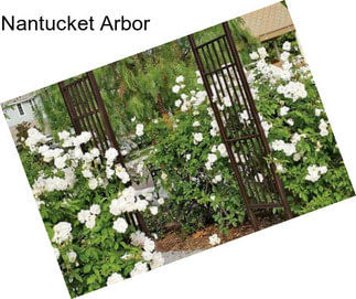 Nantucket Arbor