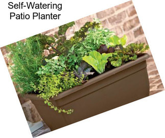 Self-Watering Patio Planter