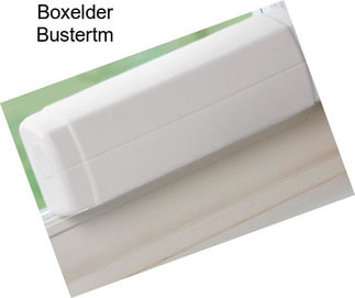 Boxelder Bustertm