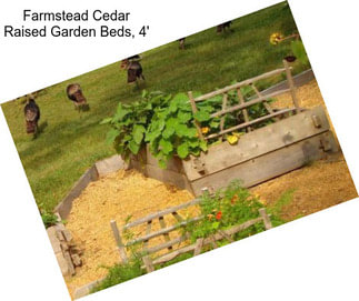Farmstead Cedar Raised Garden Beds, 4\'