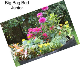 Big Bag Bed Junior