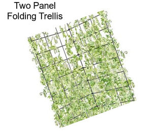 Two Panel Folding Trellis