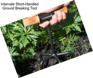 Intervale Short-Handled Ground Breaking Tool
