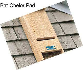 Bat-Chelor Pad