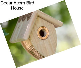 Cedar Acorn Bird House