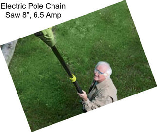 Electric Pole Chain Saw 8”, 6.5 Amp
