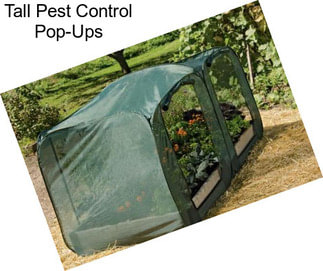 Tall Pest Control Pop-Ups