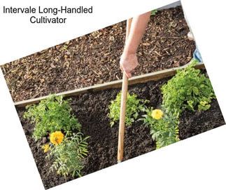 Intervale Long-Handled Cultivator