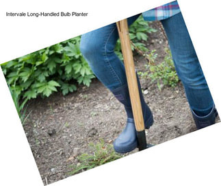 Intervale Long-Handled Bulb Planter