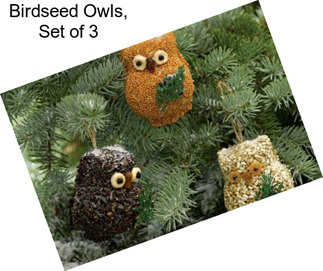 Birdseed Owls, Set of 3