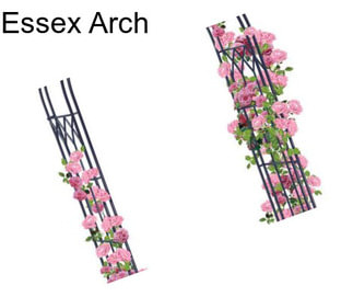 Essex Arch