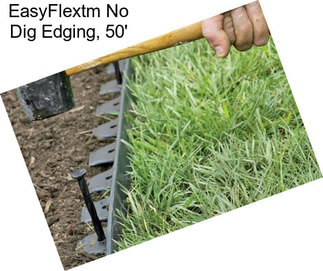 EasyFlextm No Dig Edging, 50\'