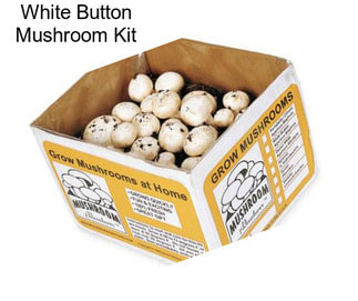 White Button Mushroom Kit