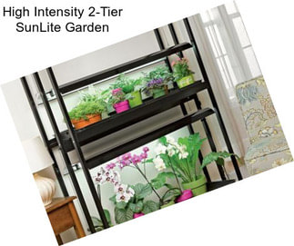 High Intensity 2-Tier SunLite Garden