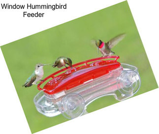 Window Hummingbird Feeder