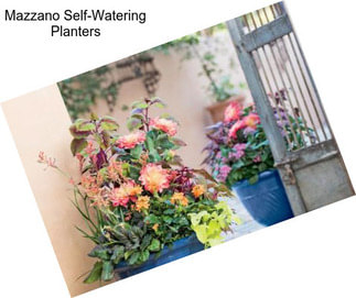 Mazzano Self-Watering Planters