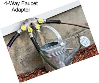 4-Way Faucet Adapter