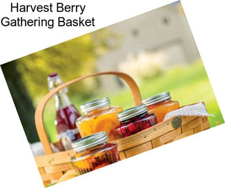 Harvest Berry Gathering Basket