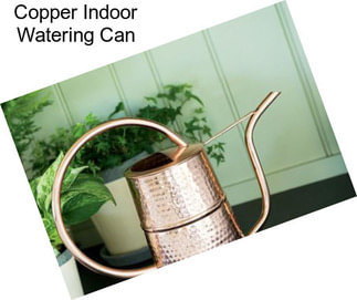 Copper Indoor Watering Can