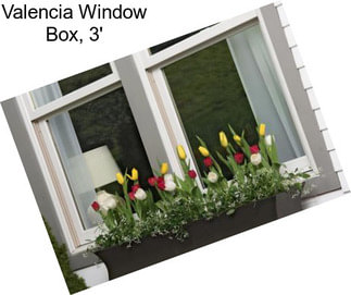 Valencia Window Box, 3\'