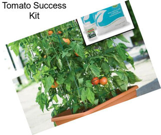 Tomato Success Kit