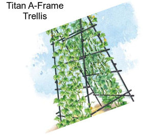 Titan A-Frame Trellis