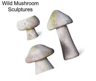 Wild Mushroom Sculptures