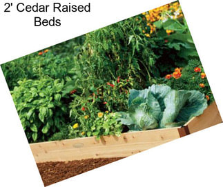 2\' Cedar Raised Beds