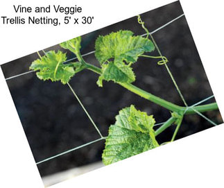 Vine and Veggie Trellis Netting, 5\' x 30\'