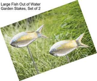 Large Fish Out of Water Garden Stakes, Set of 2