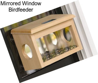 Mirrored Window Birdfeeder