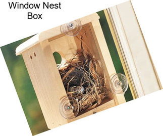 Window Nest Box