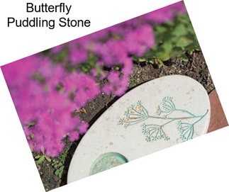 Butterfly Puddling Stone