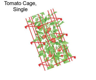 Tomato Cage, Single
