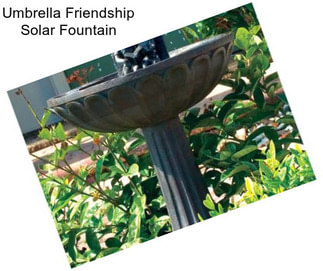 Umbrella Friendship Solar Fountain
