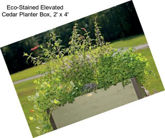 Eco-Stained Elevated Cedar Planter Box, 2\' x 4\'