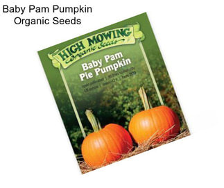 Baby Pam Pumpkin Organic Seeds
