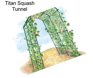Titan Squash Tunnel