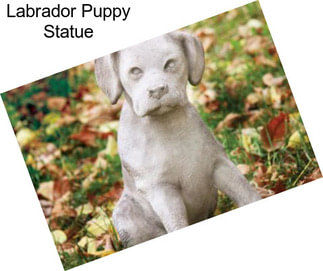 Labrador Puppy Statue