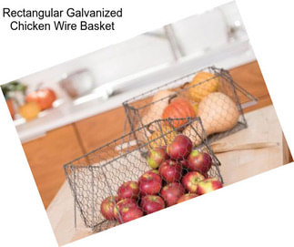 Rectangular Galvanized Chicken Wire Basket