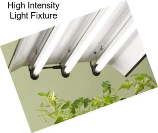 High Intensity Light Fixture