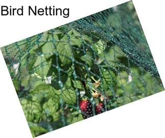 Bird Netting