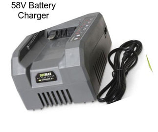 58V Battery Charger
