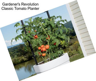 Gardener\'s Revolution Classic Tomato Planter