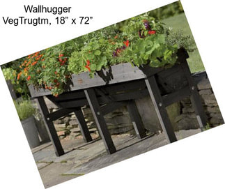 Wallhugger VegTrugtm, 18” x 72”