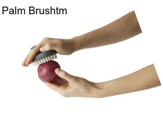 Palm Brushtm