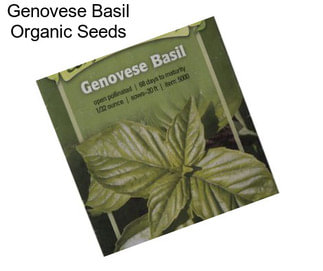 Genovese Basil Organic Seeds