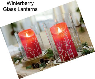 Winterberry Glass Lanterns