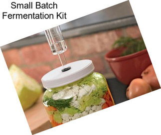 Small Batch Fermentation Kit