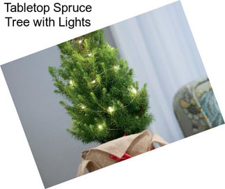 Tabletop Spruce Tree with Lights